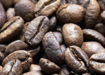 Nestlé expands investment in coffee factory