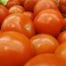Tomato exporters advise measures against virus