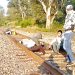 Rail line blockades in Michoacán put economy at risk