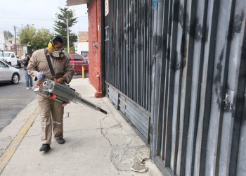 Dengue fever cases in Jalisco reach 10,000