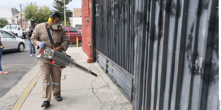 Dengue fever cases in Jalisco reach 10,000