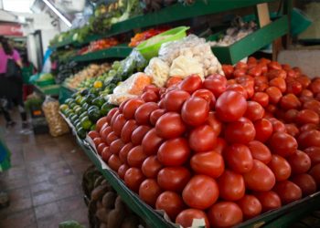 Tomatoes D-Day for Mexican exports to US
