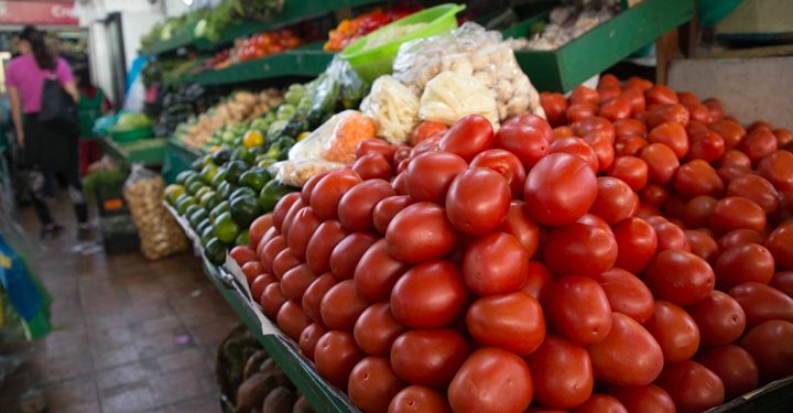 Tomatoes D-Day for Mexican exports to US
