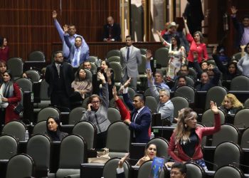 Lower House approves amnesty for non-violent offenders