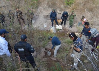 Guerrero: Local official linked to activist's murder