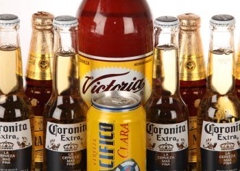 Mexico's share of US import beer market grows