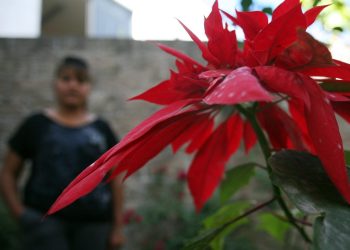 Mexican Army kills 11 armed civilians in Tamaulipas