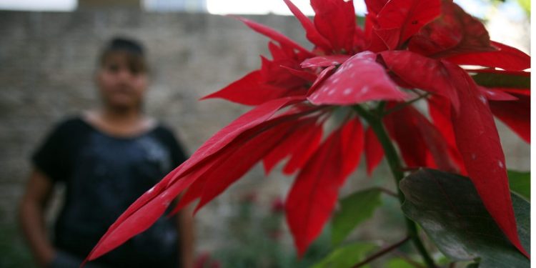 Mexican Army kills 11 armed civilians in Tamaulipas