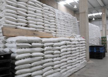 Dry bean prices shoot up in Mexico
