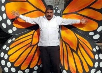 Michoacán: Disappeared monarch butterfly activist found dead