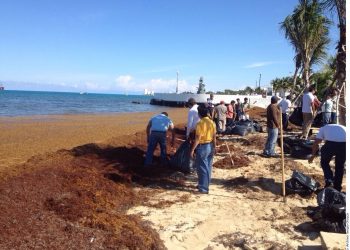 Cozumel: sargassum hit air passenger traffic in 2019