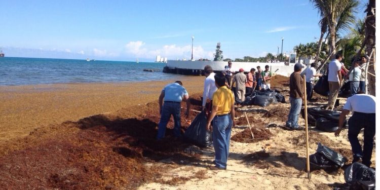 Cozumel: sargassum hit air passenger traffic in 2019