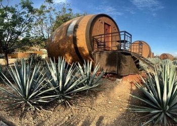 Tequila production breaks records, US top consumer