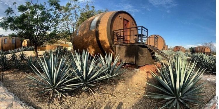 Tequila production breaks records, US top consumer