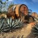 Tequila production breaks records, US top consumer
