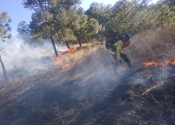 Zapopan: Nine fires rage La Primavera Forest this year