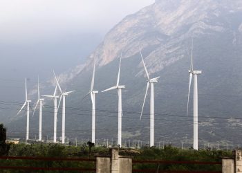 Wind power capacity keeps upward growth in 2019