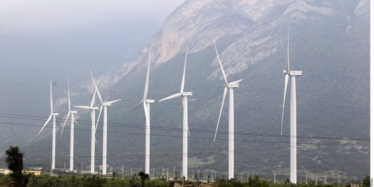 Wind power capacity keeps upward growth in 2019