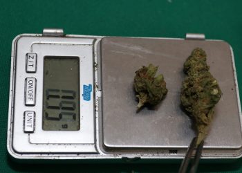 Marijuana debate kicks off in Mexican Senate