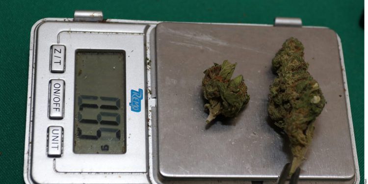 Marijuana debate kicks off in Mexican Senate