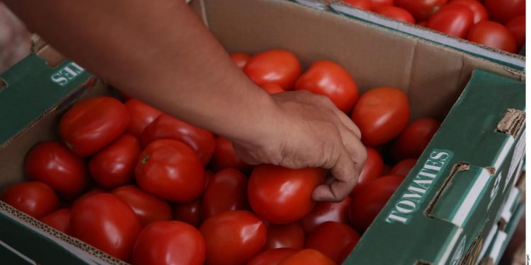 Cyber attack hindering Mexican tomato exports