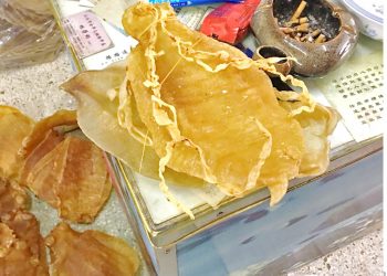 Mexico should treat totoaba trade as organized crime.- NGO