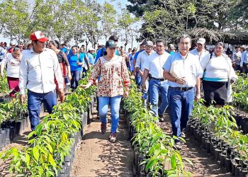 Government's tree-planting program fails at goals