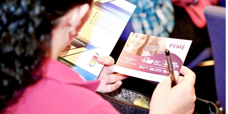 Government loans for entrepreneurs amid crisis lack novelty