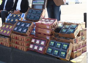 Mexican fresh produce exports ravaged by coronavirus