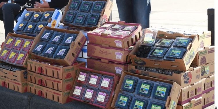 Mexican fresh produce exports ravaged by coronavirus