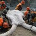 Remains of 60 mammoths unearthed at new airport site