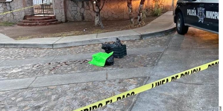 Guanajuato left reeling after weekend mayhem following arrests