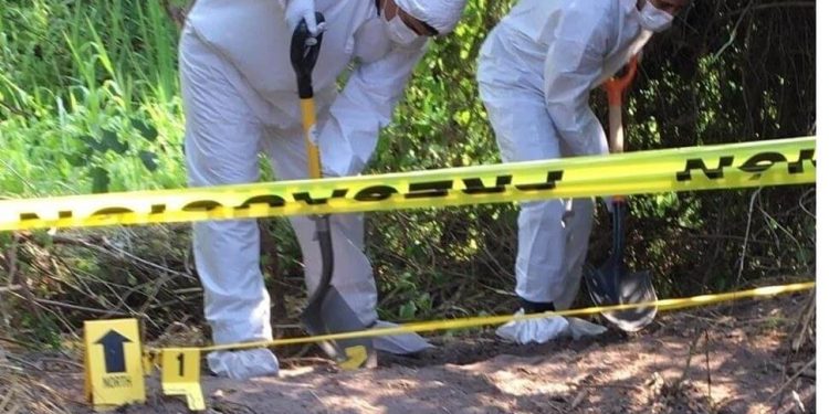 Colima: Homicides mount as missing legislator is found dead
