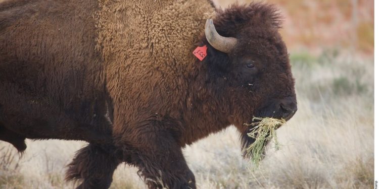 AMLO's austerity threatens Mexico's national parks