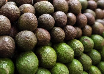 Mexican avocado exports hurt by US lockdowns in April