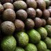 Mexican avocado exports hurt by US lockdowns in April