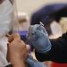 Coronavirus: head of Mexico's vaccination effort steps down