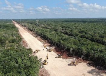 AMLO to transfer control over Mayan Train to Mexican military