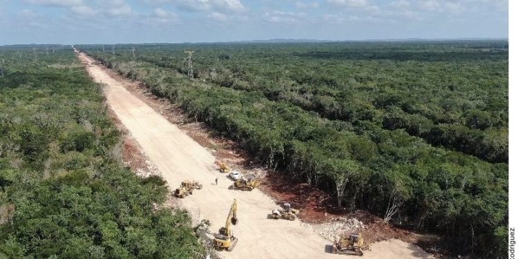 AMLO to transfer control over Mayan Train to Mexican military